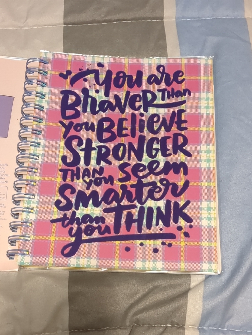 More Than Magic Pink Plaid Spiral Undated Planner Purple Flocked Hand-Lettering